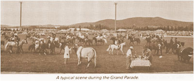 A typical scene during the Grand Parade